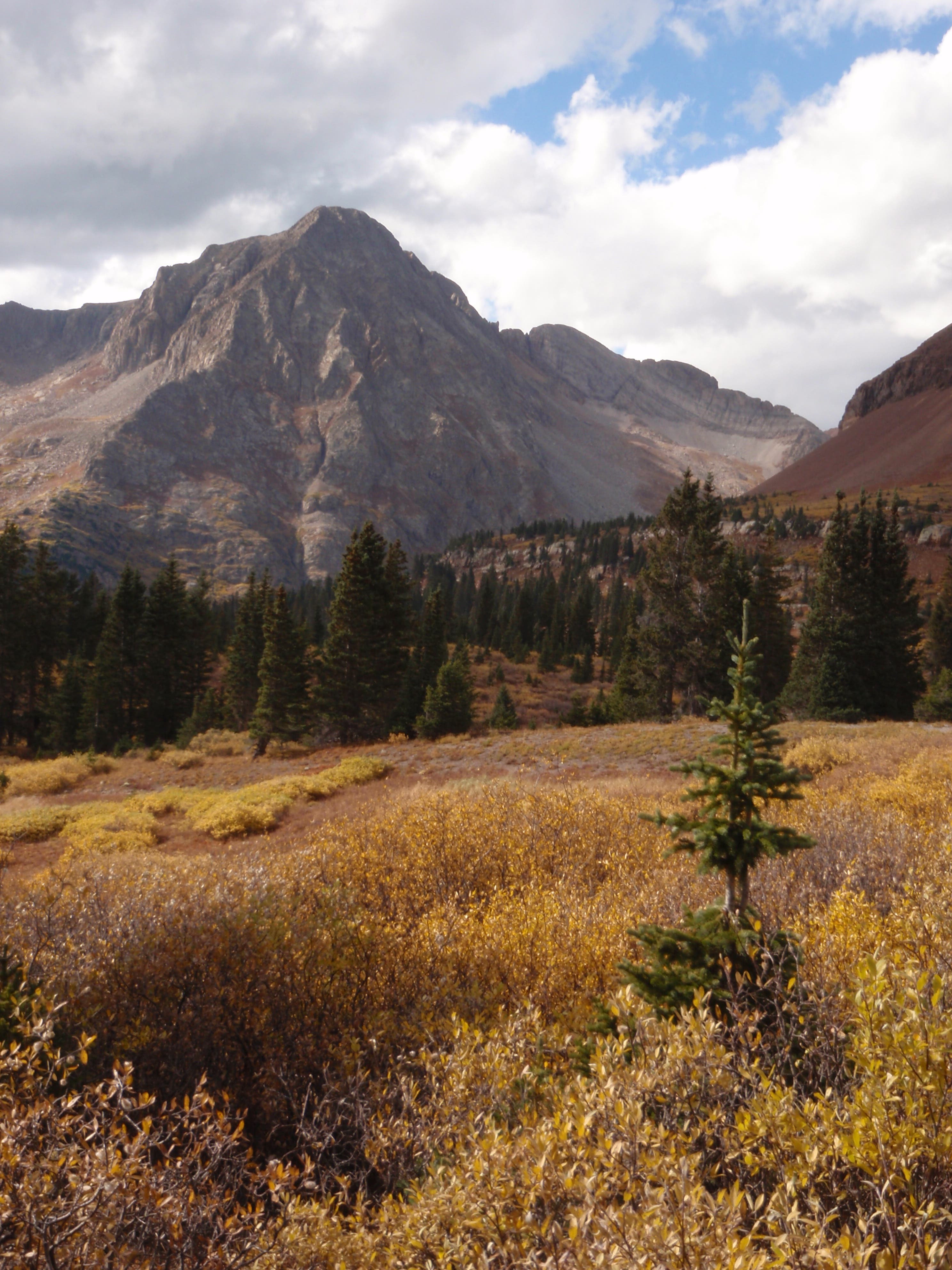 Grizzly Peak looming behind grassy fields along the Colorado Trail section between Stony Pass and Celebration Lake. Grizzly Peak towers above pines and an alpine meadow at the end of the section hike from Stony Pass to Celebration Lake on the Colorado Trail.