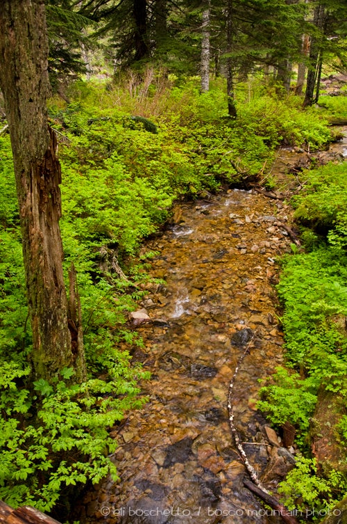 Grouse Creek None