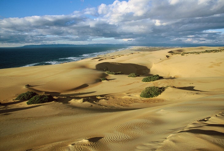 Guadalupe-Nipomo Sand Dunes None