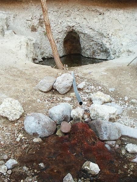 Hackberry Spring None