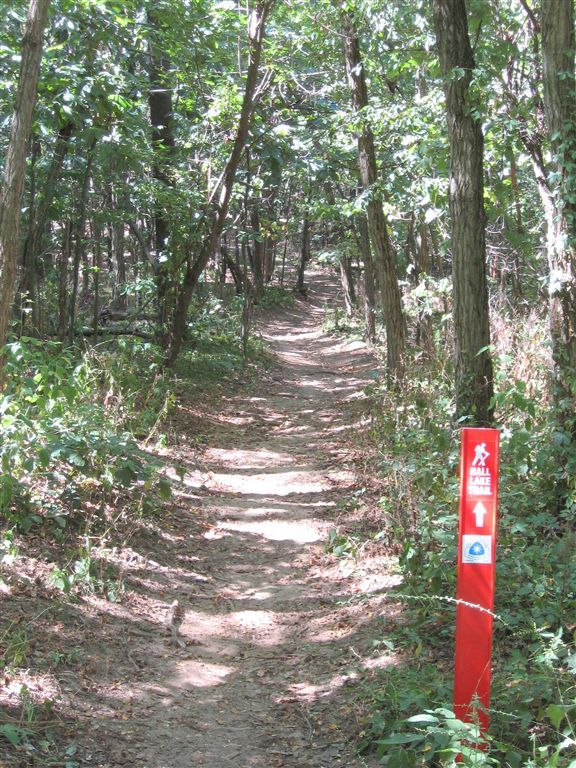 Yankee Springs RA: Hall Lake Trail