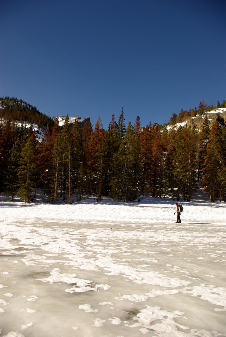 Hiker crosses frozen ground with Hallet Peak in the background. 