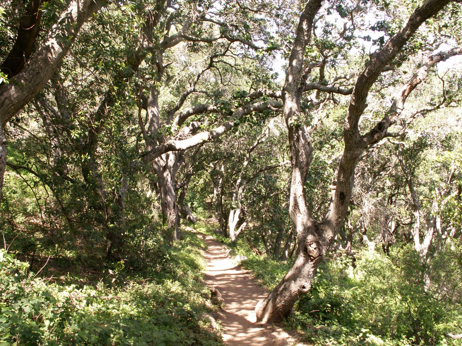 Hallway Of Green None