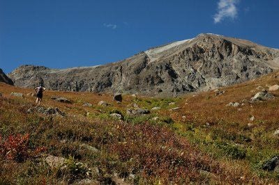 Handies Peak None