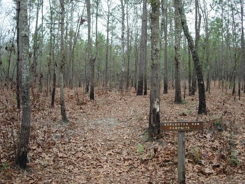 Harleston Dam Campsite None