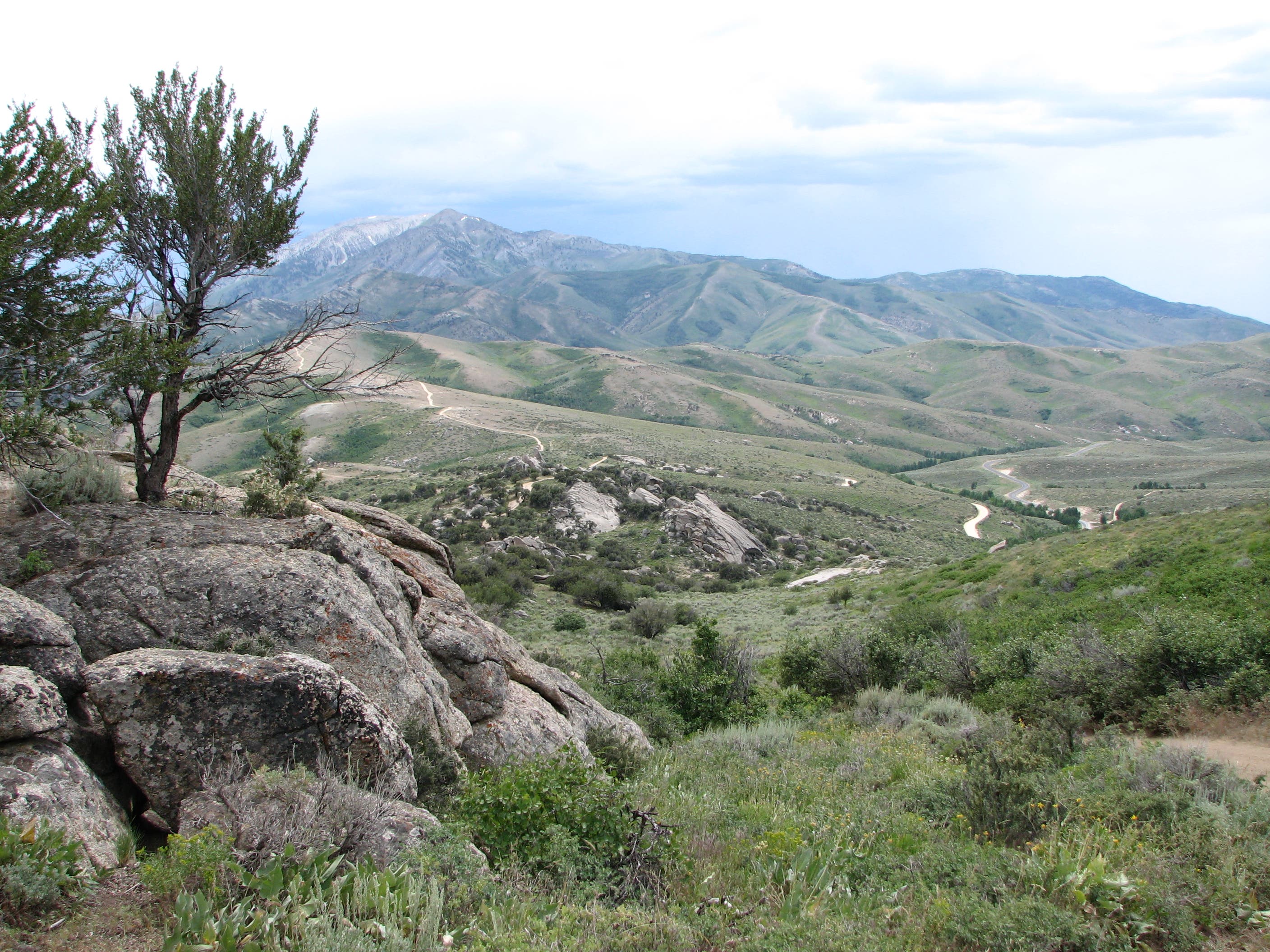Harrison Pass Panorama None