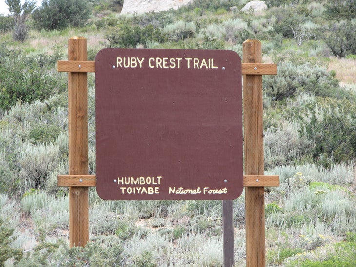 Harrison Pass Trailhead None