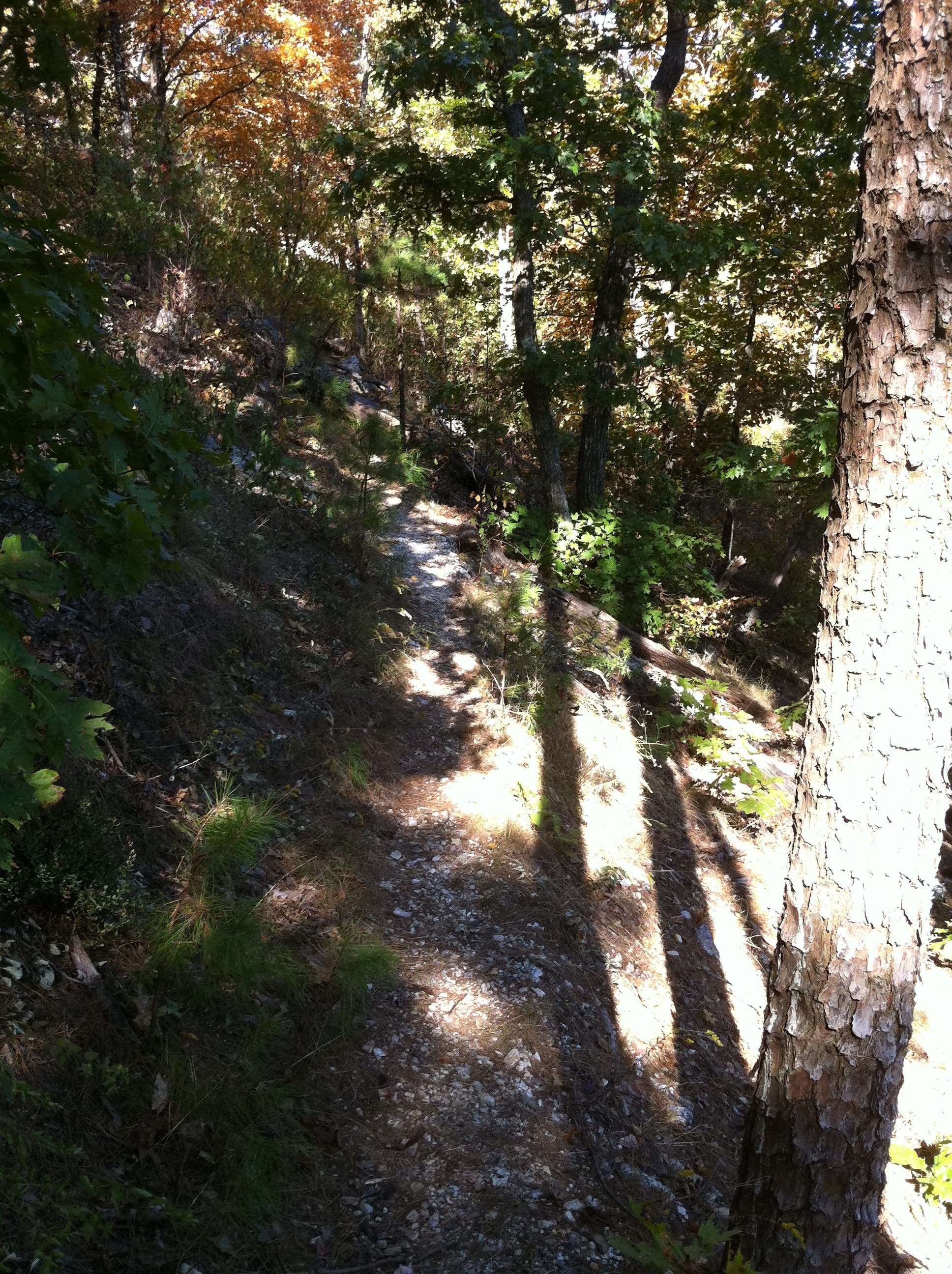 Headed down the ridgeline None