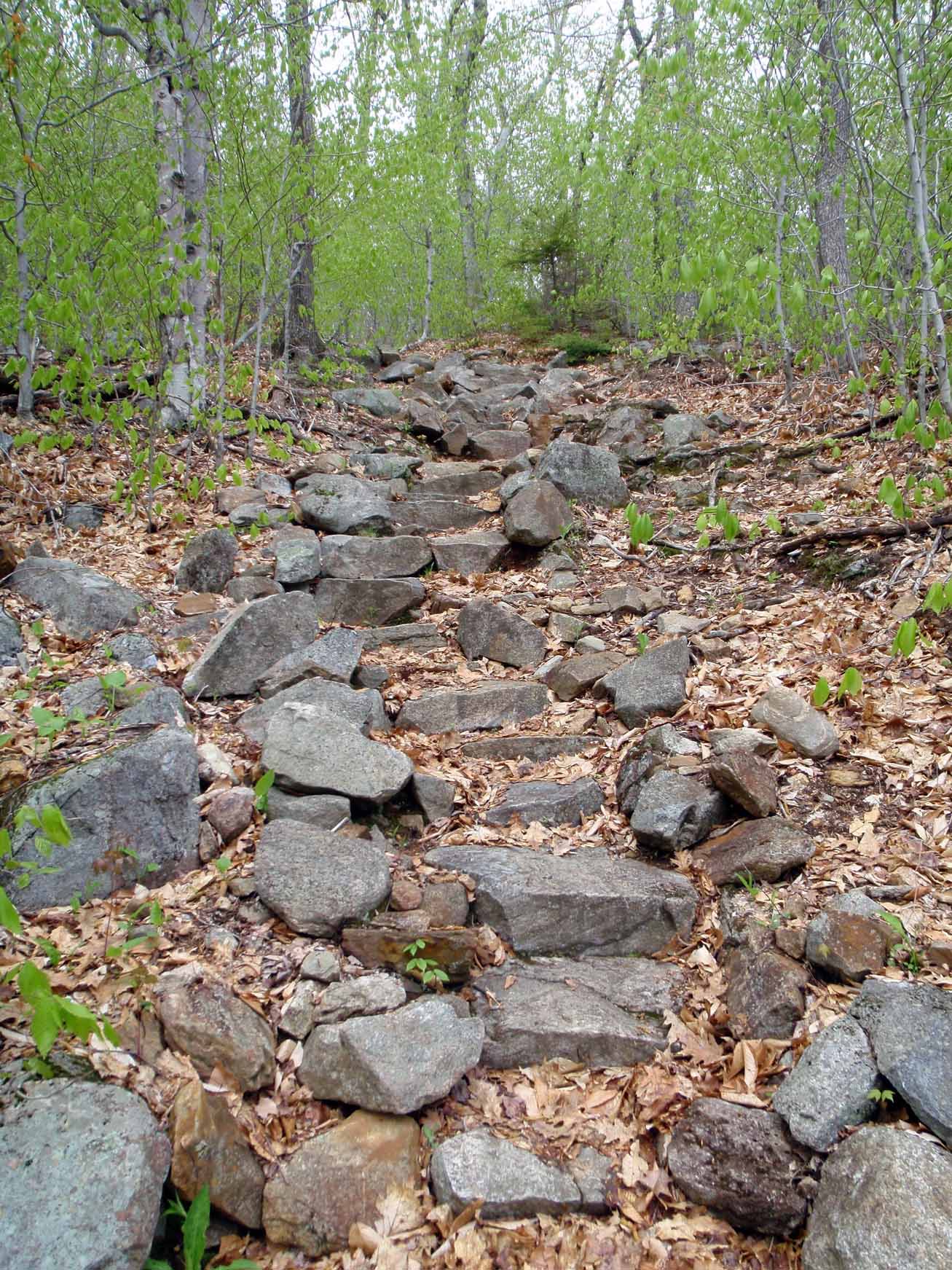 Heading down Percival None