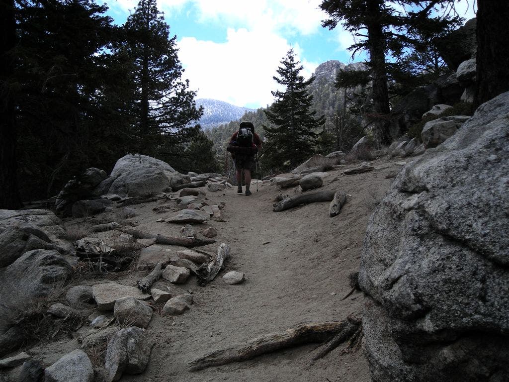 Heading up the trail None