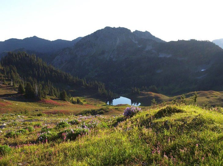 Heart Lake None