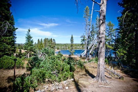 Heart Lake Campsite None