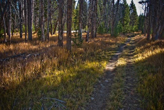 Heart Lake Trail None