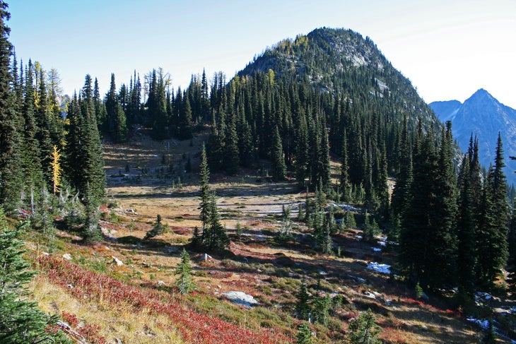 Heather Pass None