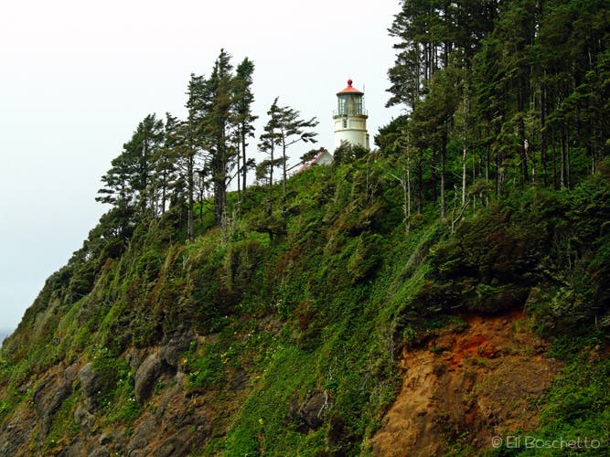 Heceta Bluff None
