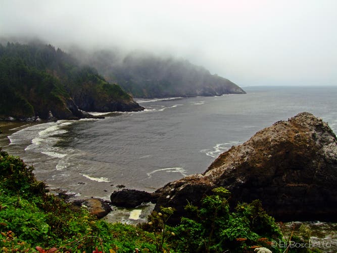 Heceta Lighthouse Viewpoint None