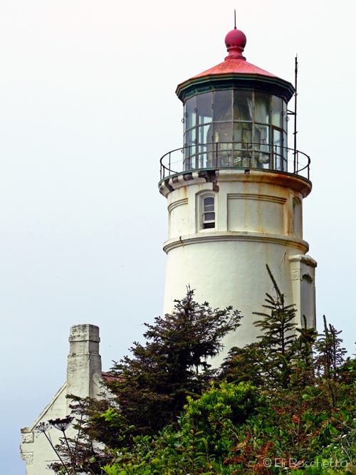 Heceta Lighthouse None