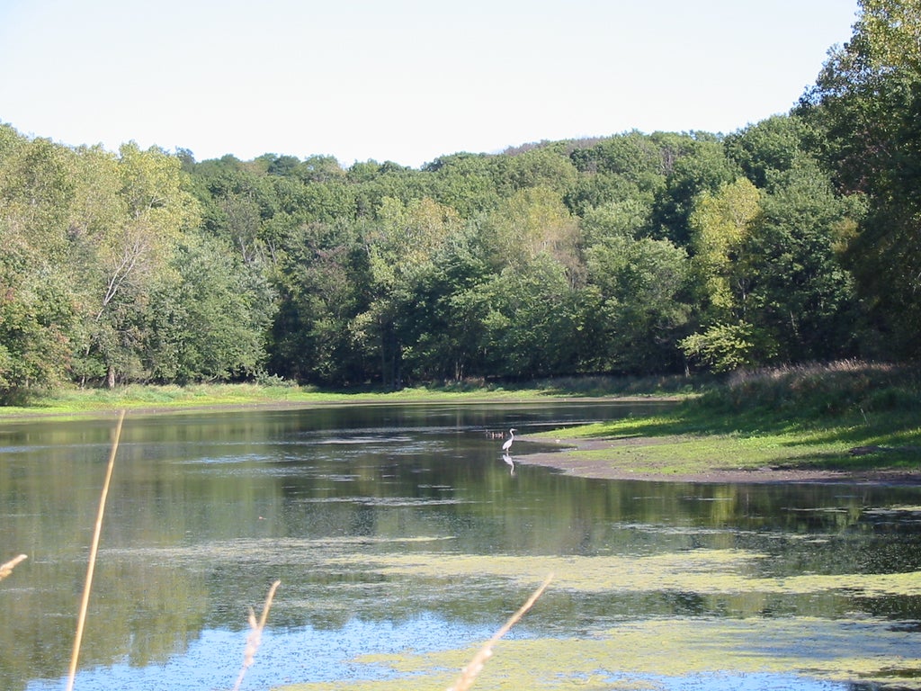 Chicago IL: Lakewood Forest Preserve