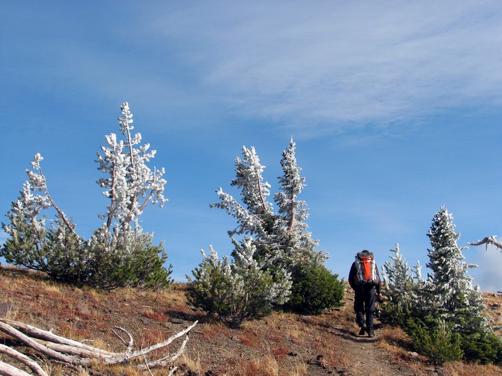 High-Alpine Environment None