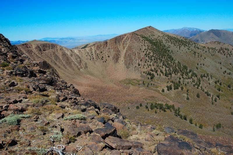 High among the sage None