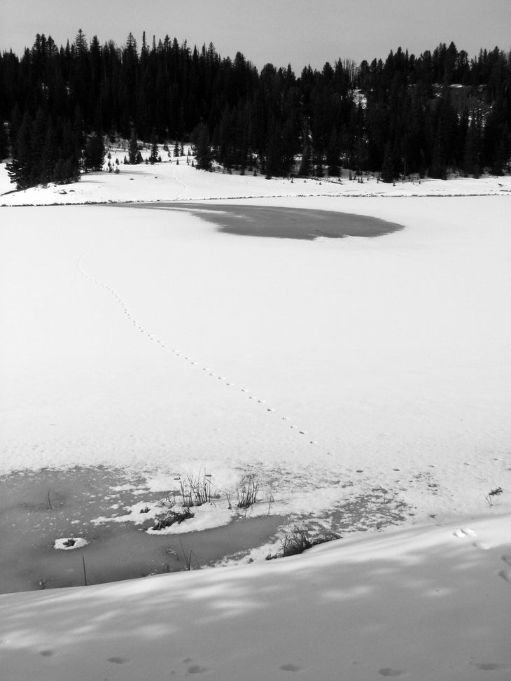 High Lake None