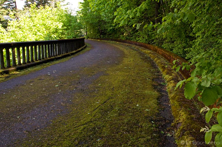 Highway Viaduct None