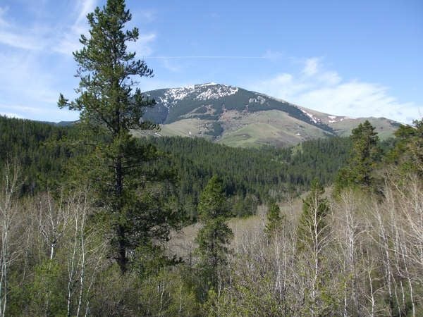 Highwood Baldy None