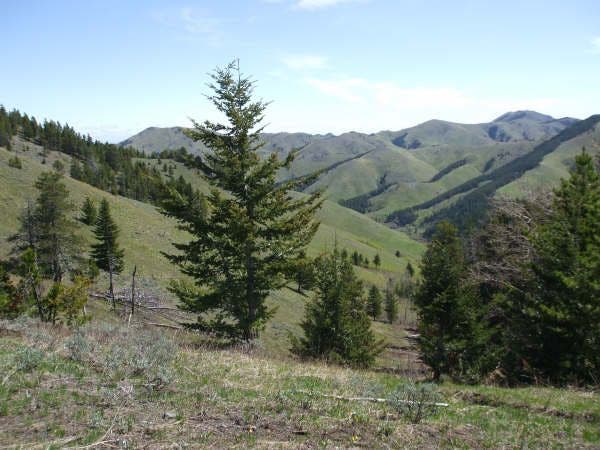 Highwood Mountains None