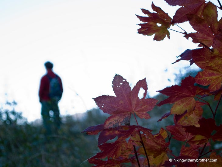 Hiker and vine None