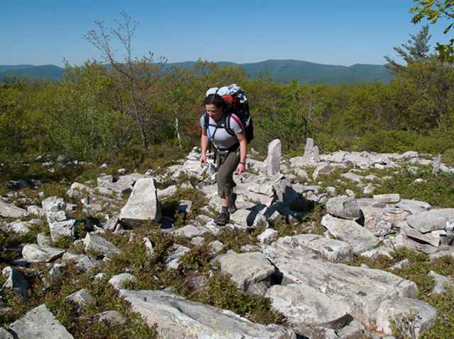 hiker.jpg None