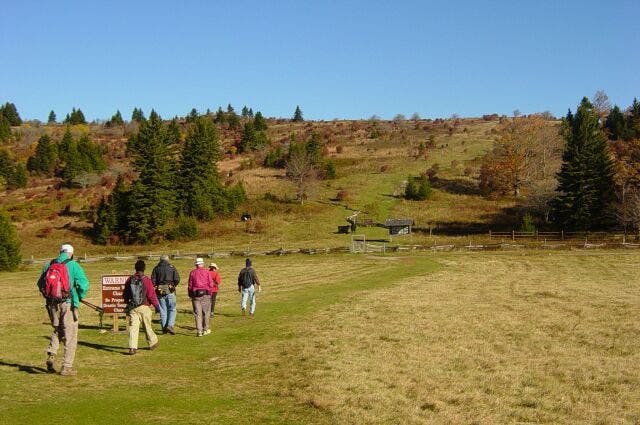 Hikers crossing field None