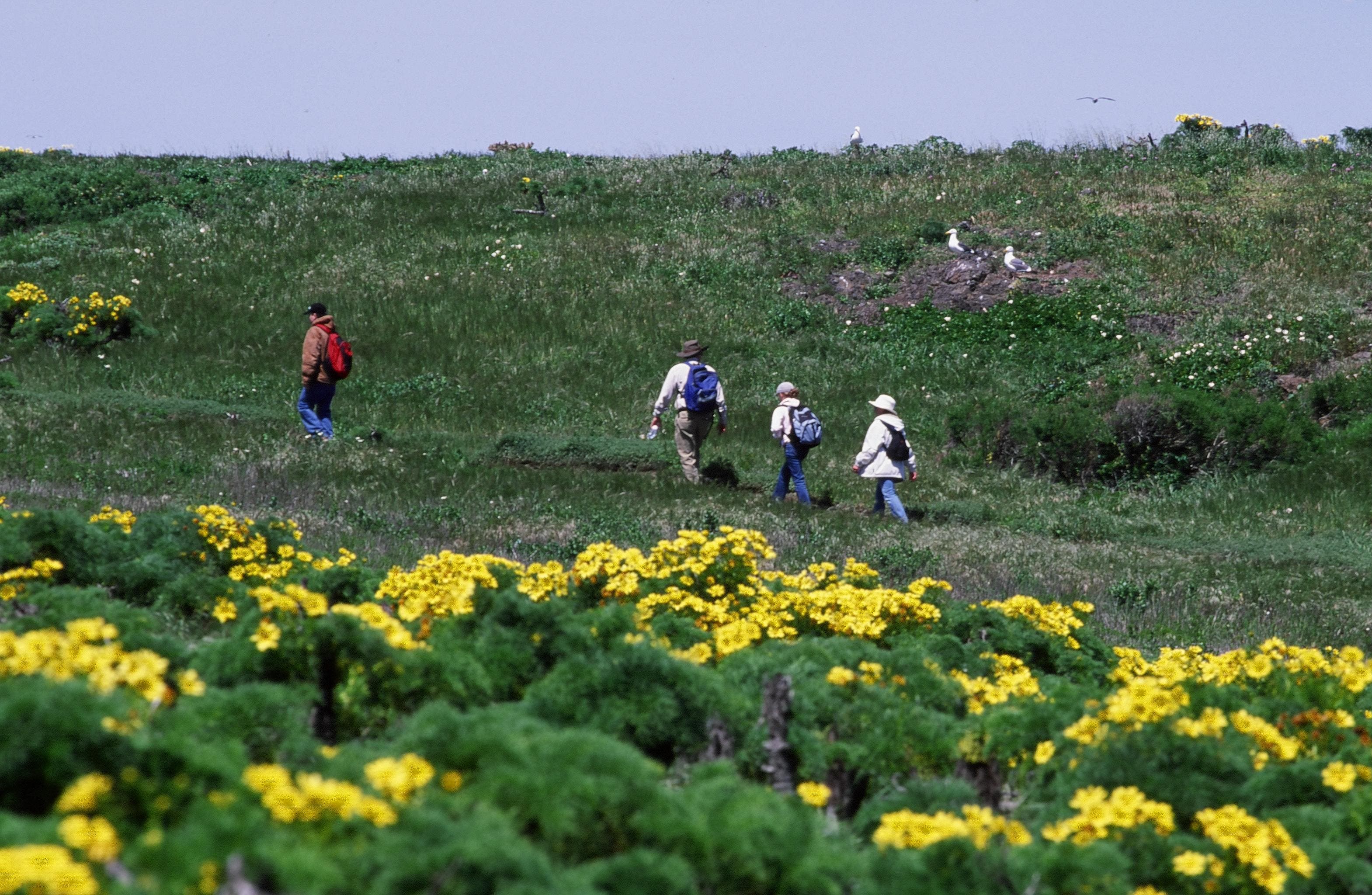 Hikers leaving the campground None