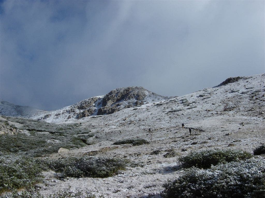 Hikers on the trail None