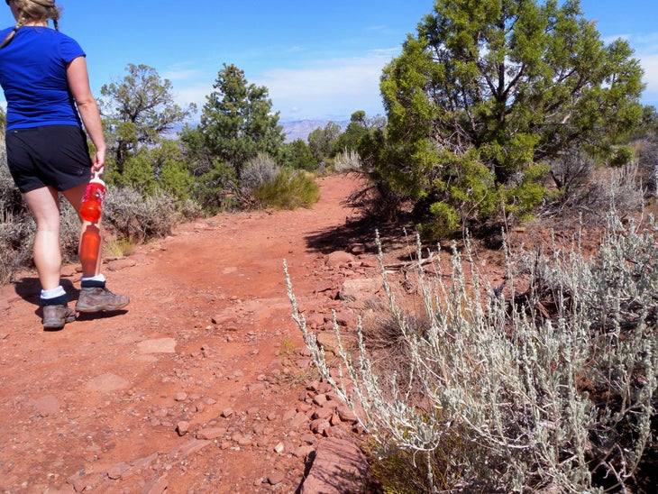 Hiking None