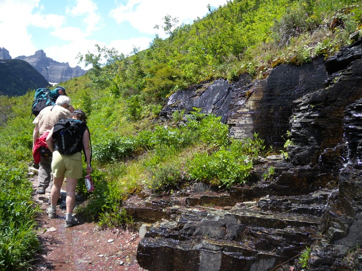 Hiking None