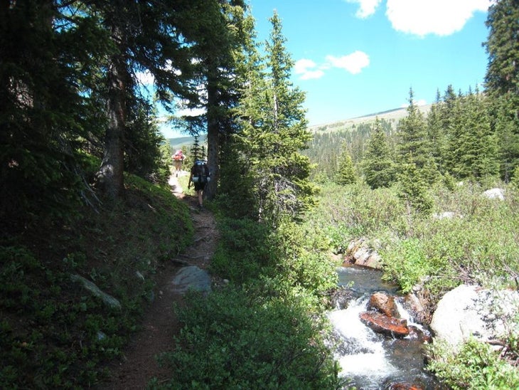 Hiking along Timber Creek None