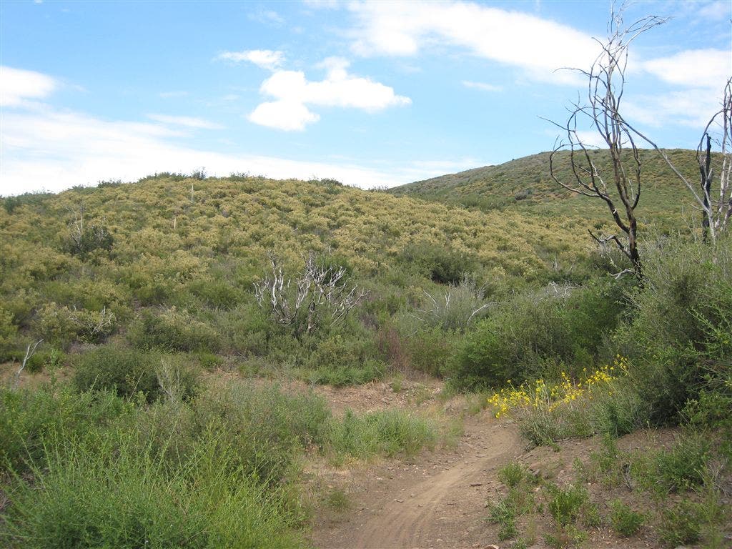 Hiking toward Indian Creek None