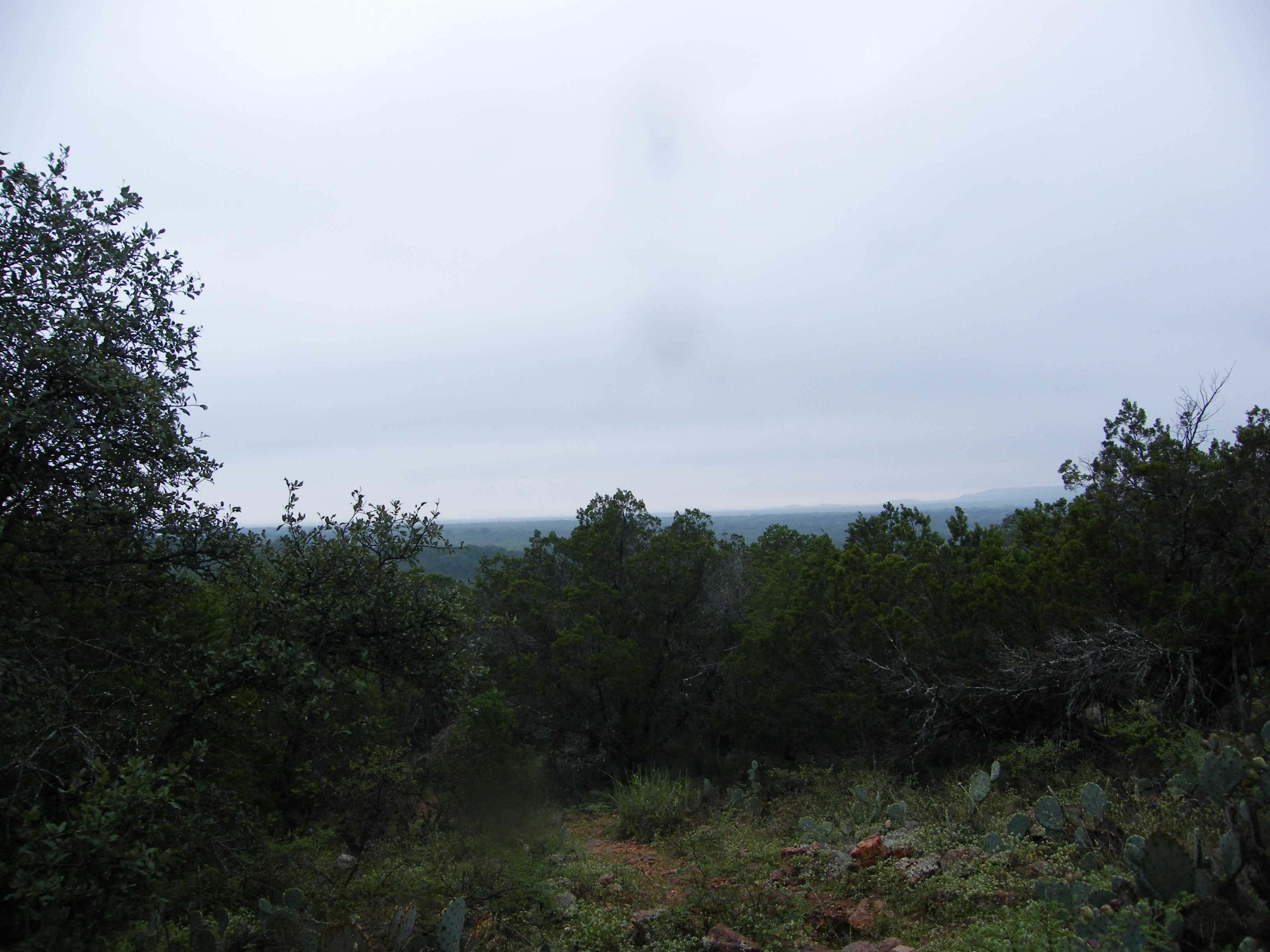 Hill Country Vista None