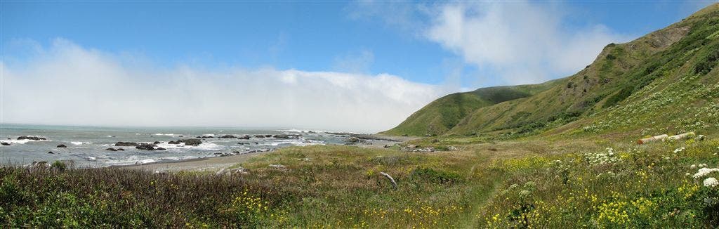 Hills Meet Ocean None