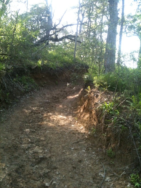 Hills None