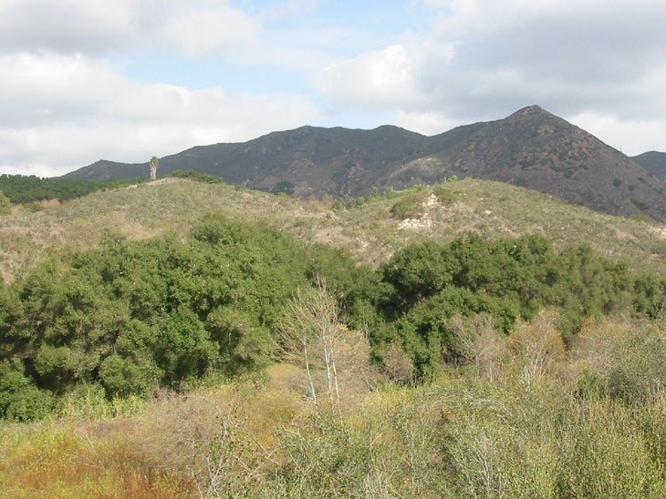 Hillside None