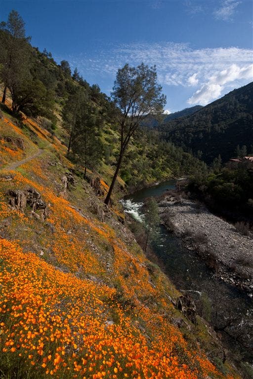 Hite Cove Trail None