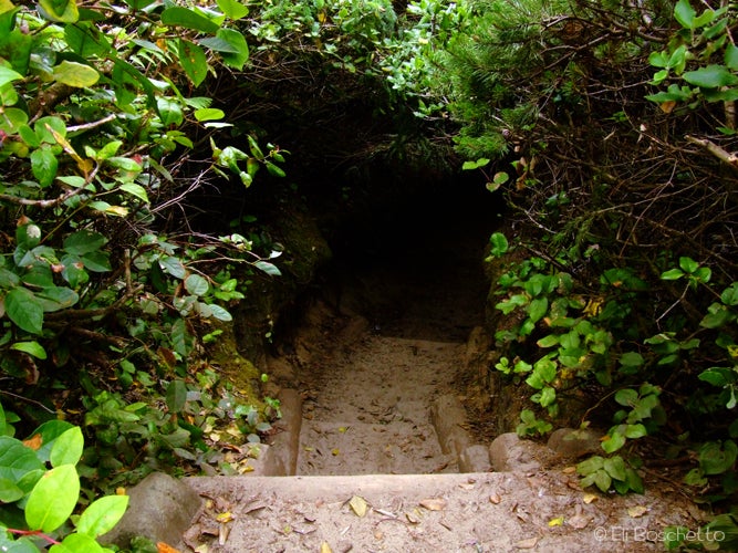 Hobbit Hole None