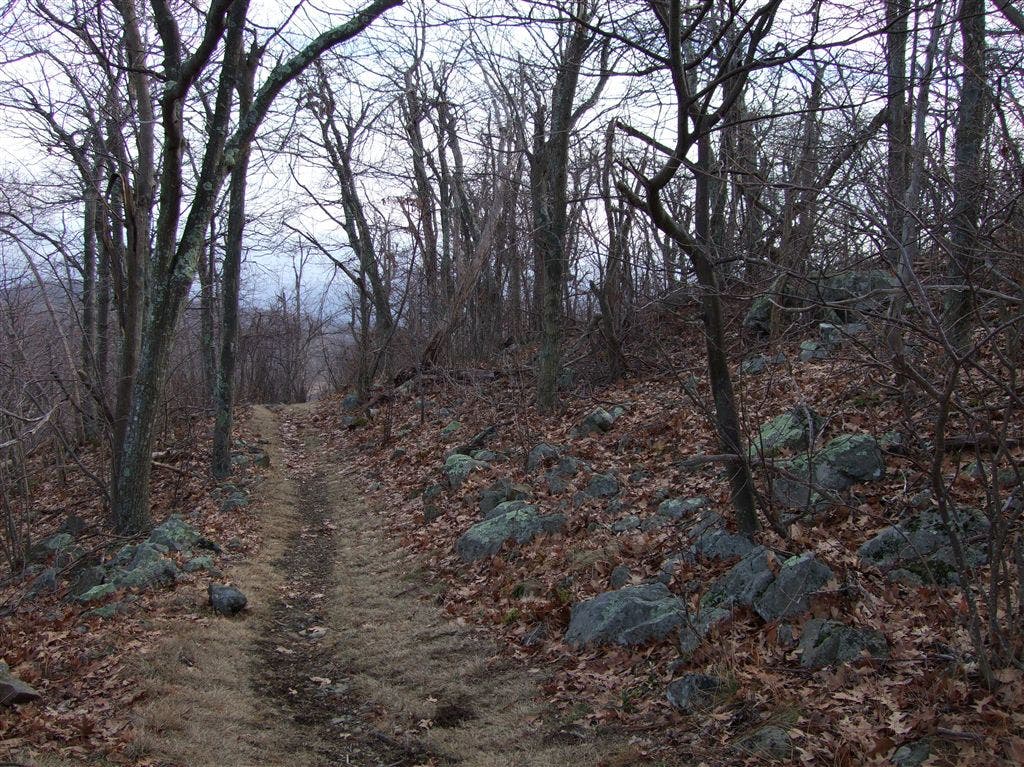 Hogback Mountain None