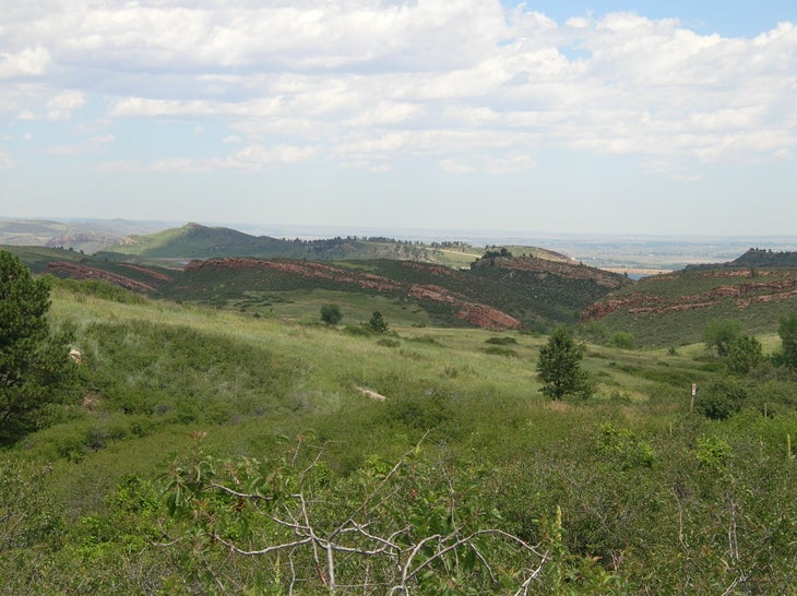 Hogbacks None