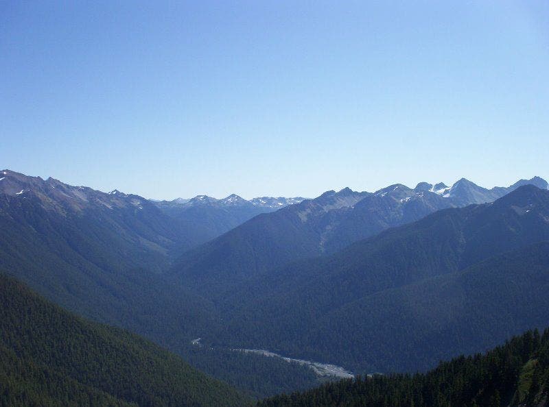 Hoh River from the High Divide None