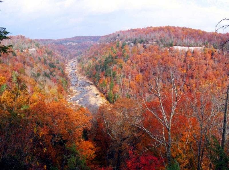 Honey Creek Overlook None