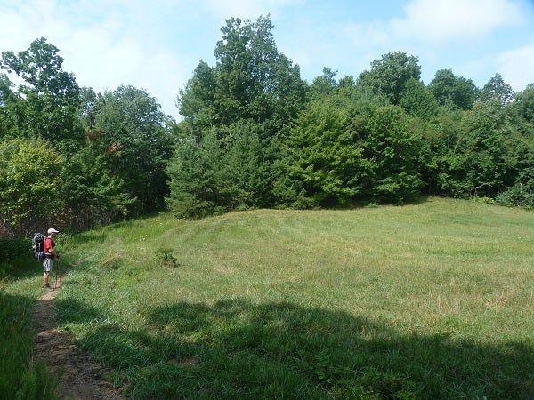 Horse Heaven Meadow None