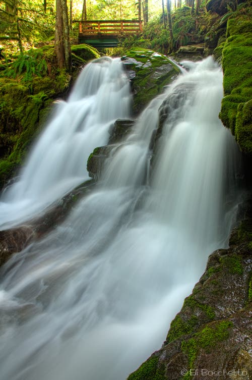 Horseshoe Creek None