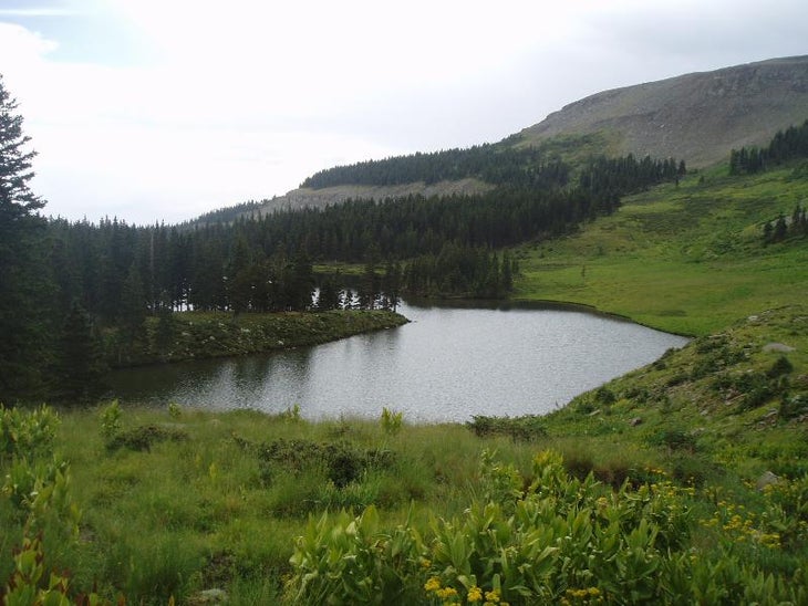 Horseshoe Lake None